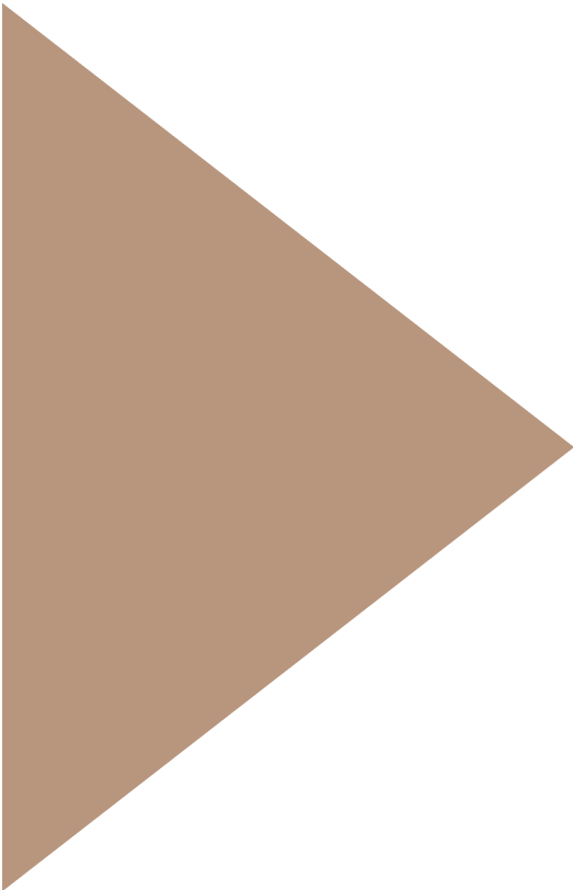 minimalist color polygon